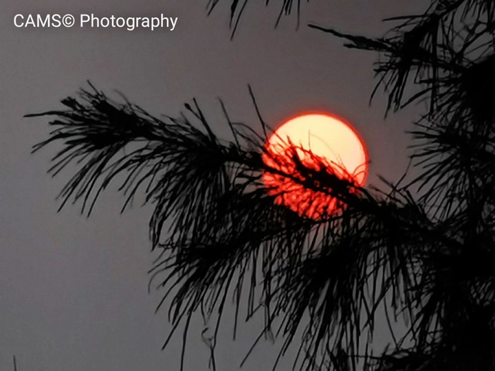 Sun in a scenic view