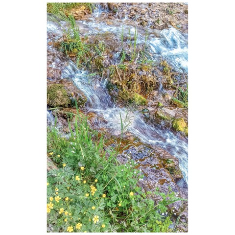 sfondi vegetation, rectangle