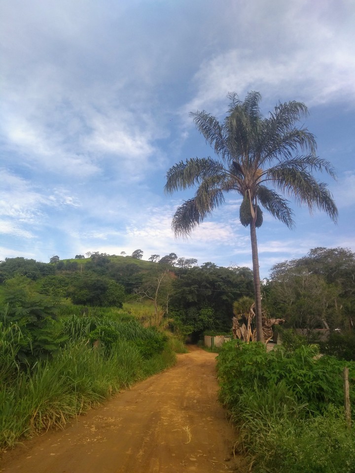 Estrada