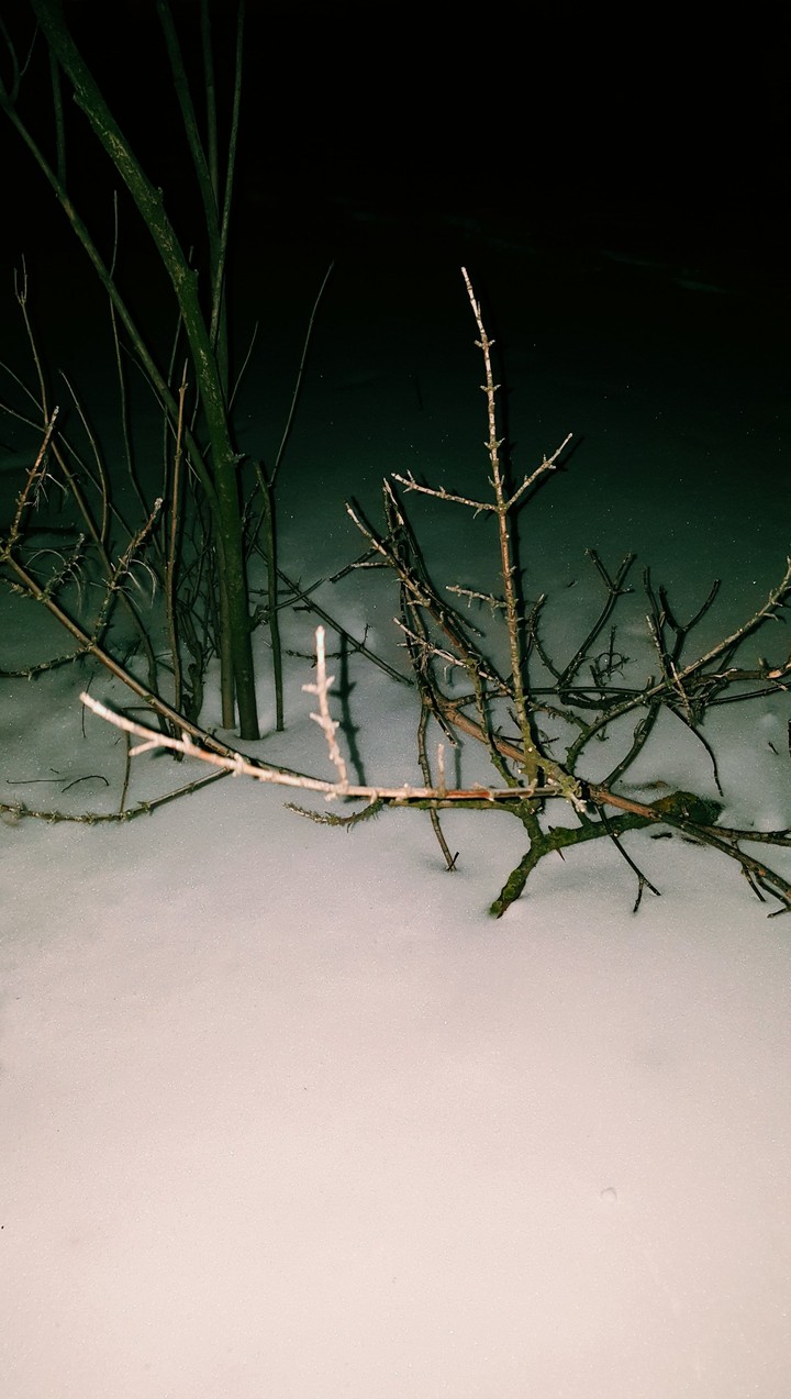 wintertime