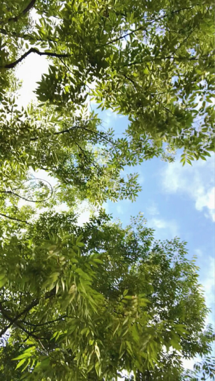 하늘.180819