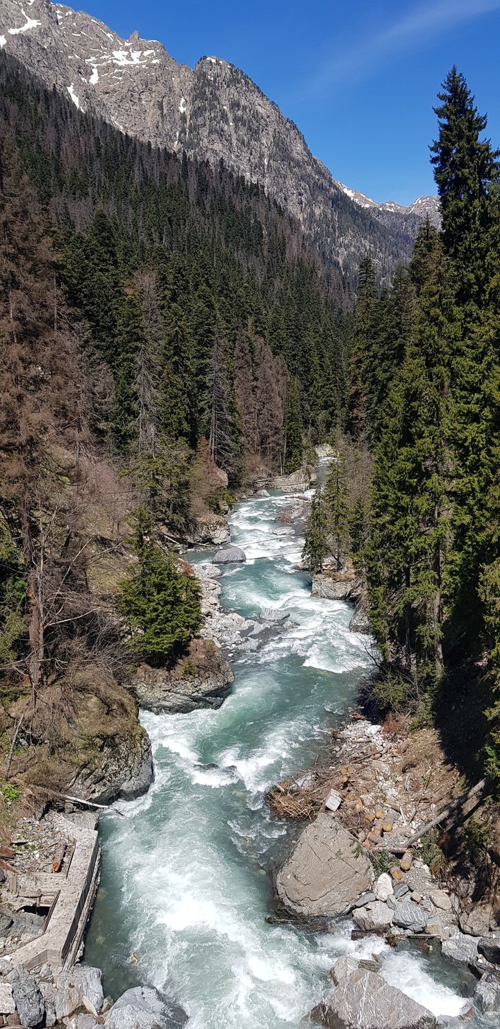 Kavkaz