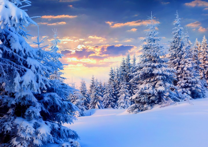 winter wounderland
