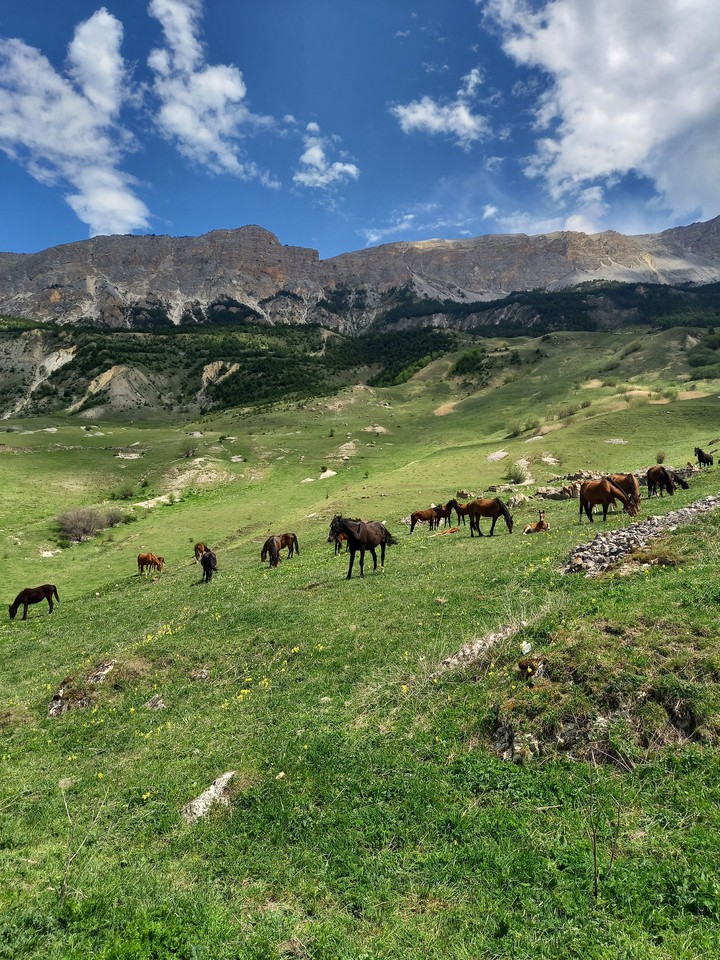 Осетия
