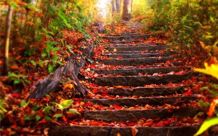 autumn