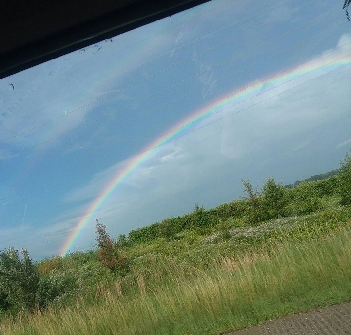 rainbow