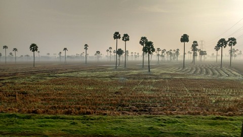 sun raise