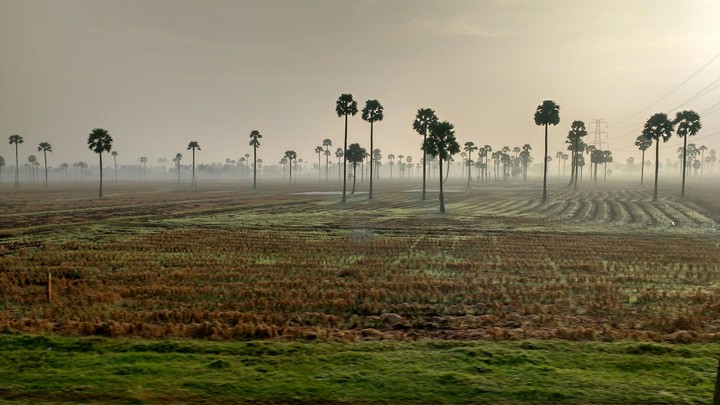 sun raise