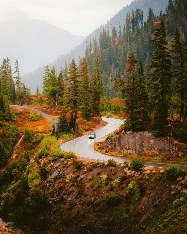 Nature