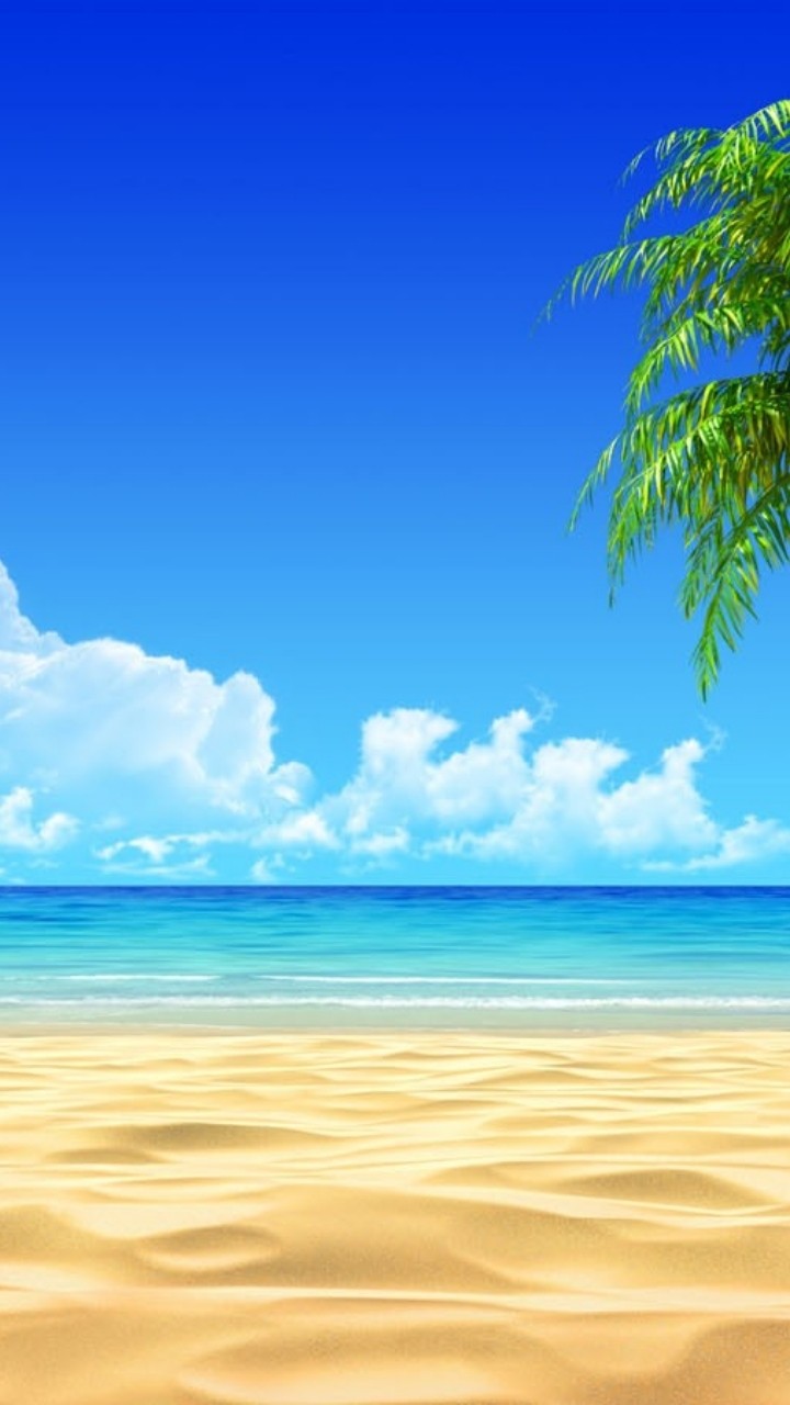 paradise