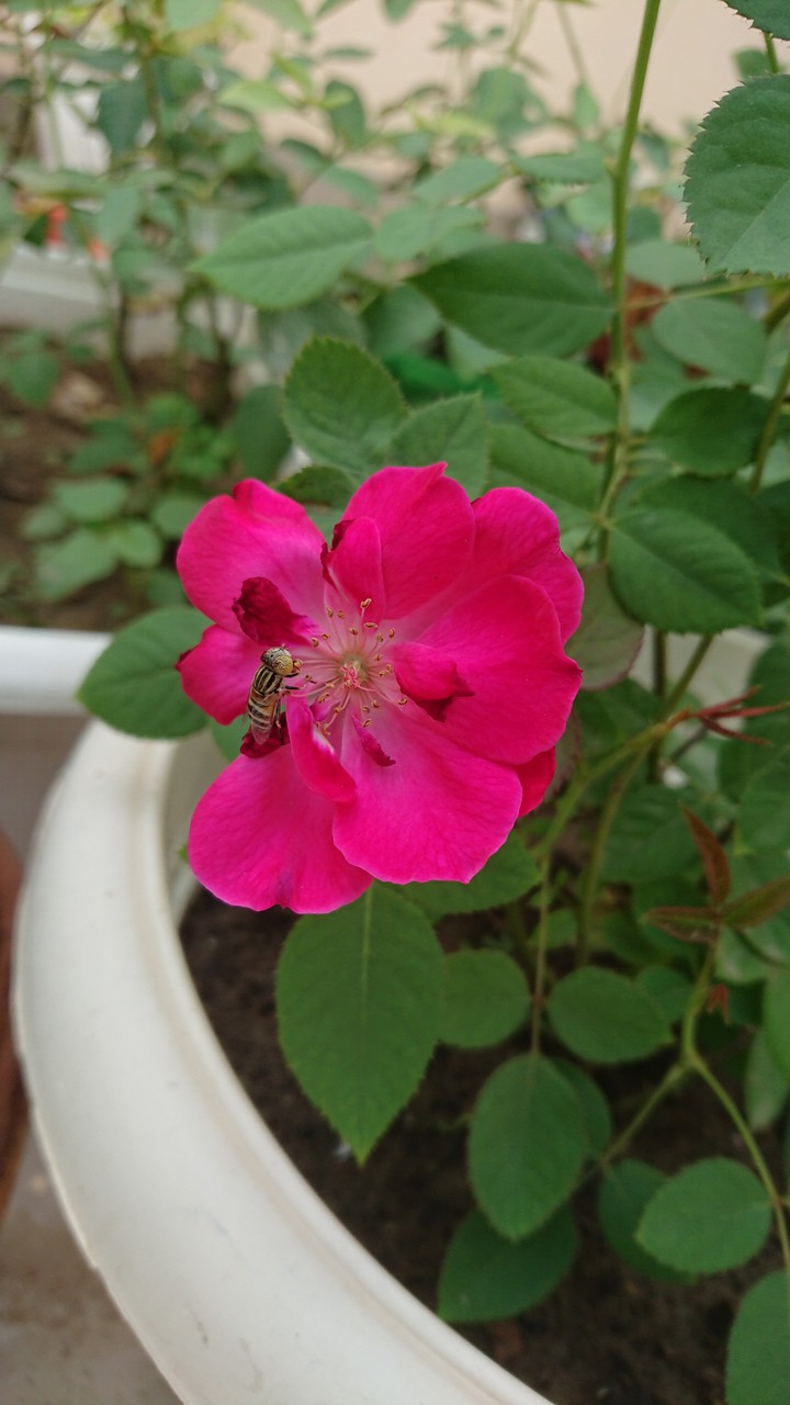 500px HDR