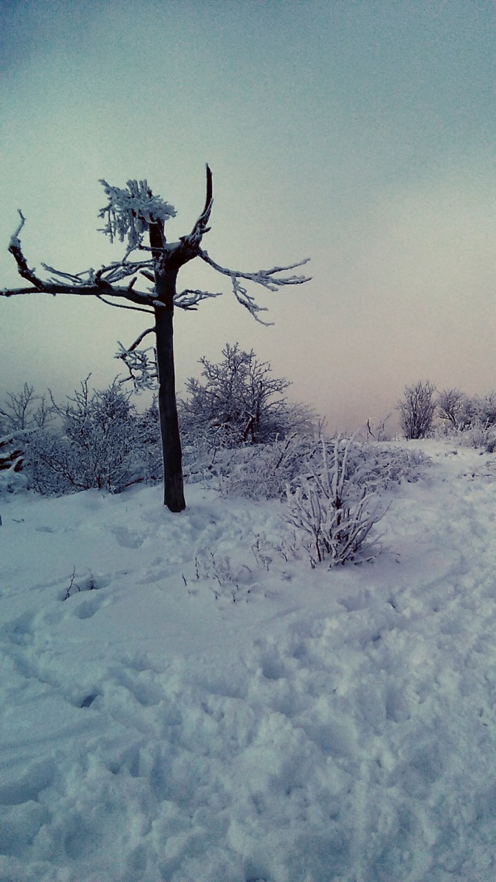 Snow in the evening