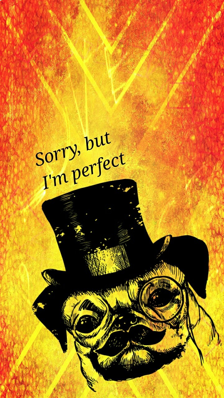 sorry, but I'm perfect