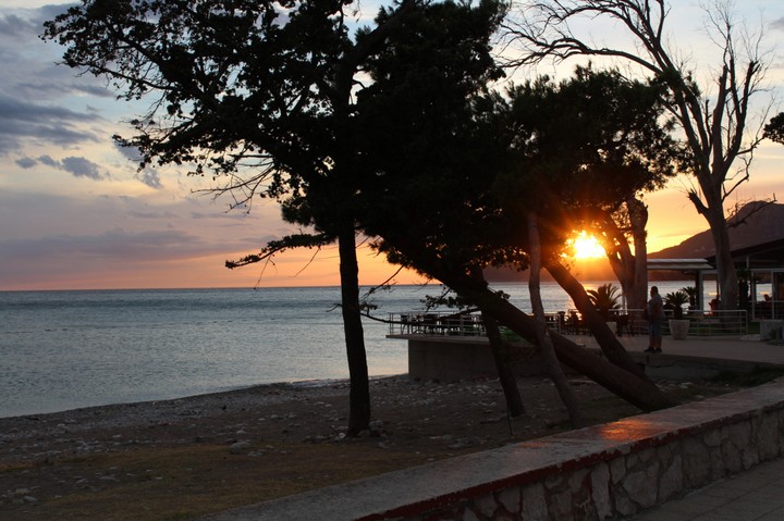 Montenegro,Bar