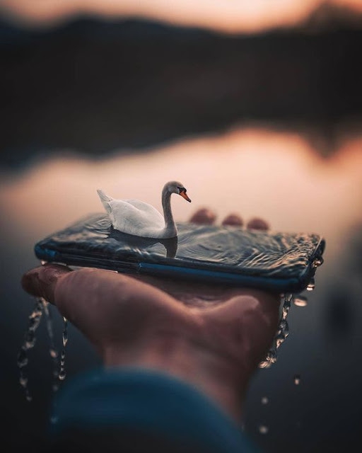 sea?