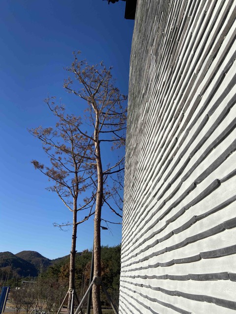 Korean Style Wall