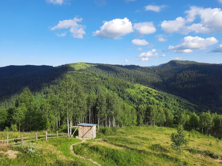 Karpaty