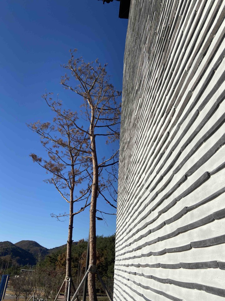 Korean Style Wall