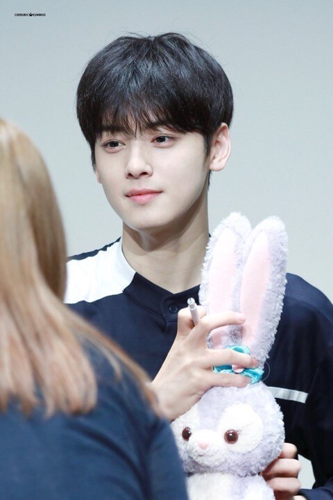 Korean actor ChaEunwoo