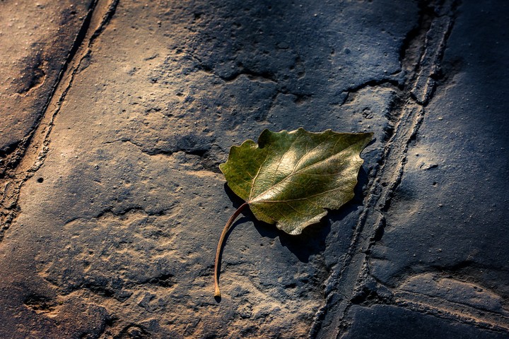 Fall