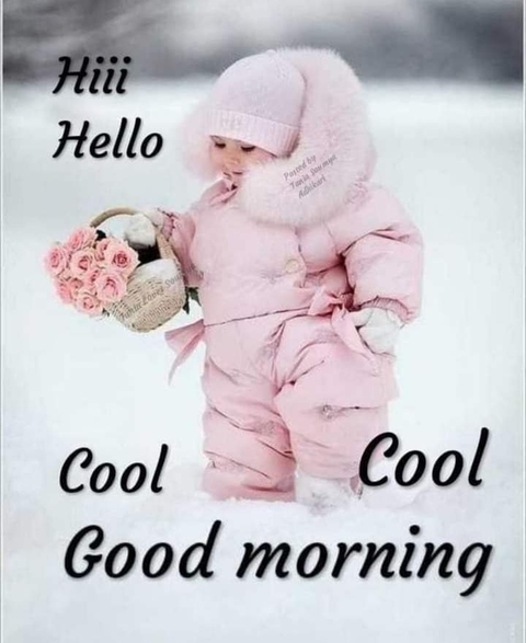 all friends and Amico s