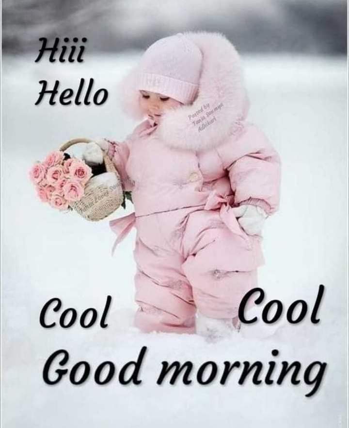 all friends and Amico s