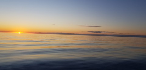 sea beauti