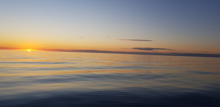 sea beauti