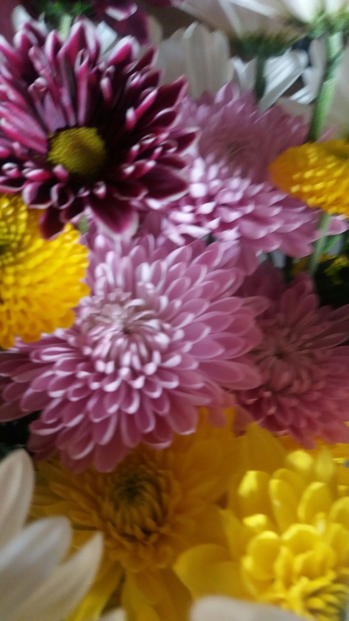 fresh flowers