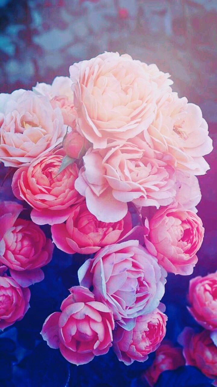 #flowers