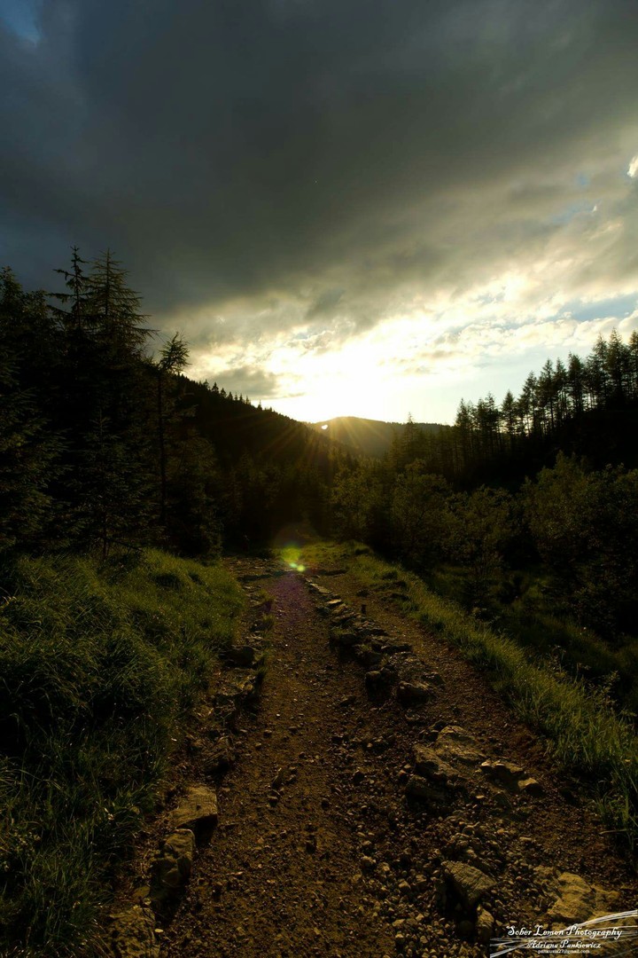 the way