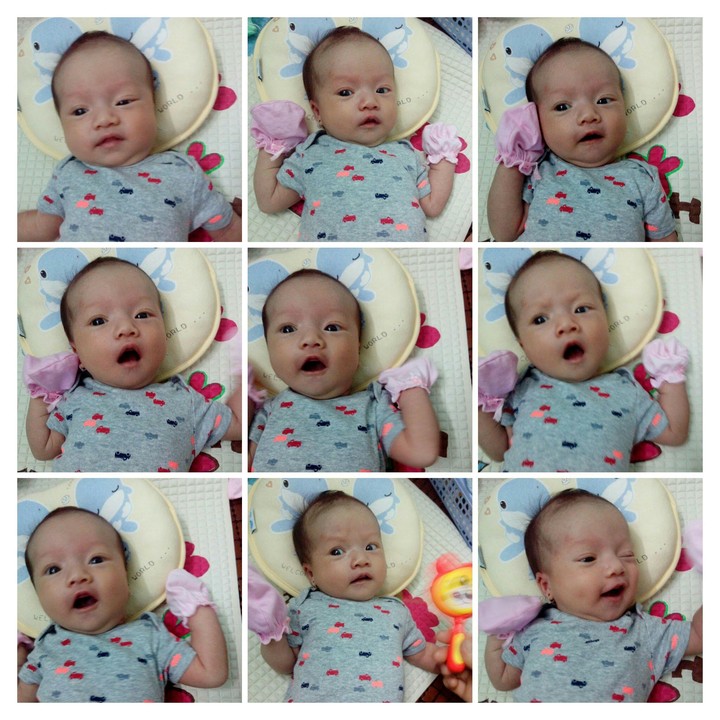 Bơ's