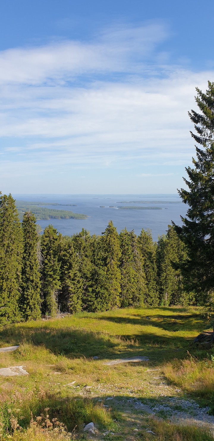 Koli, Finland