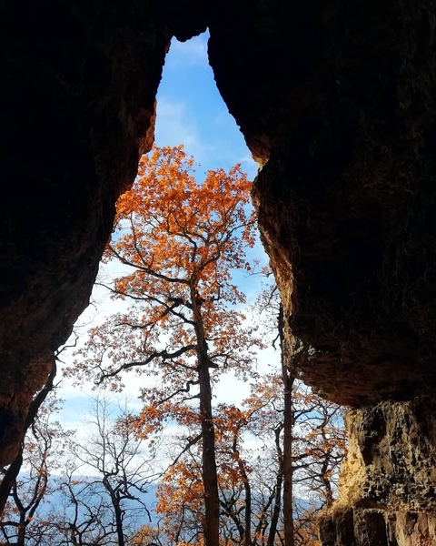 autumn