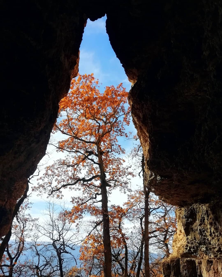 autumn