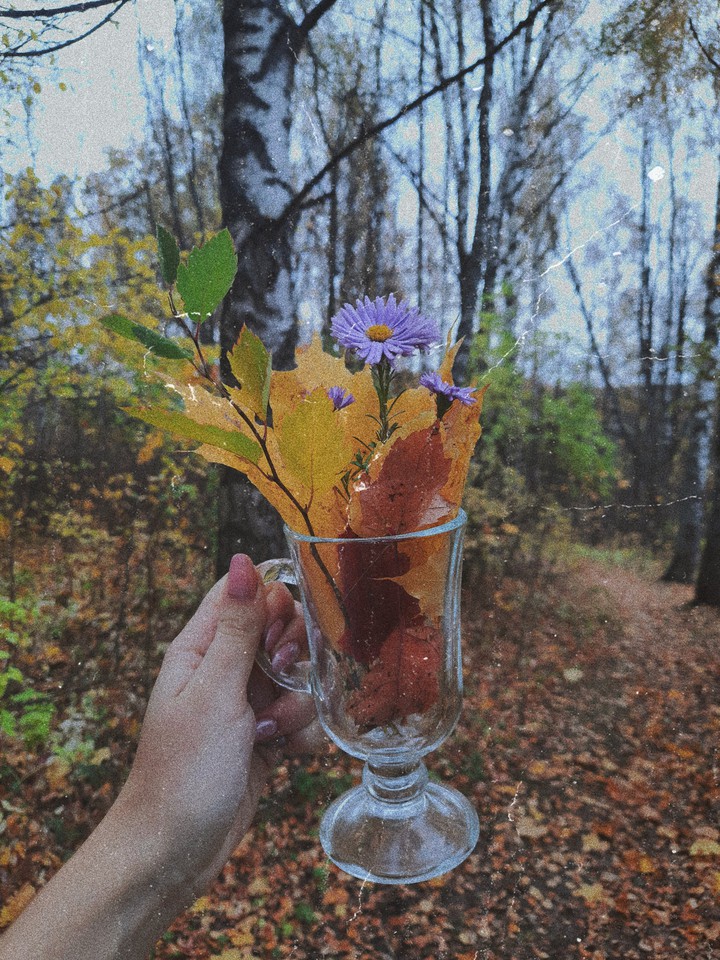 autumn