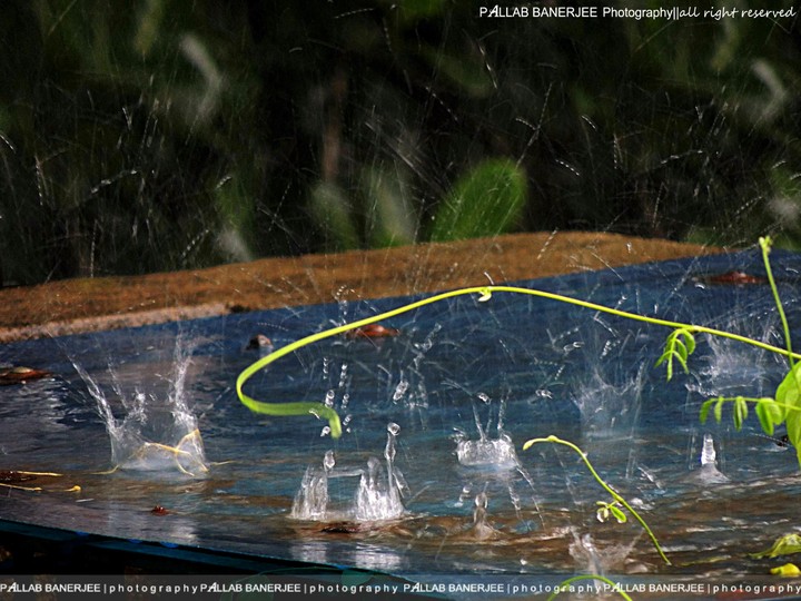 Is Raining