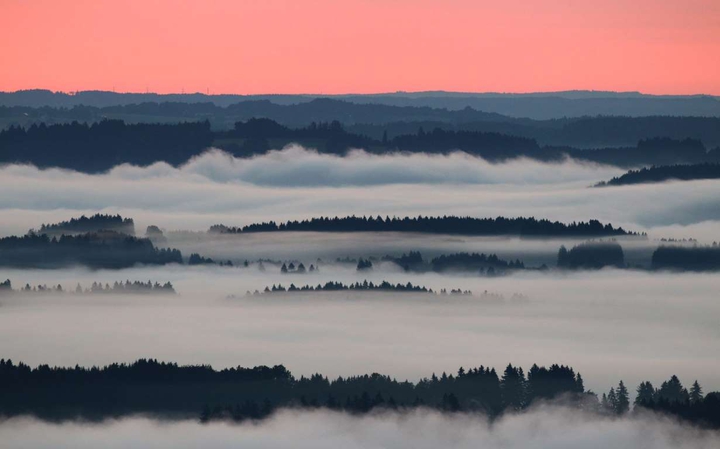 fog