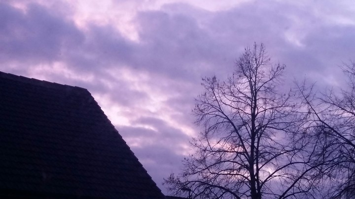 Purple Sky