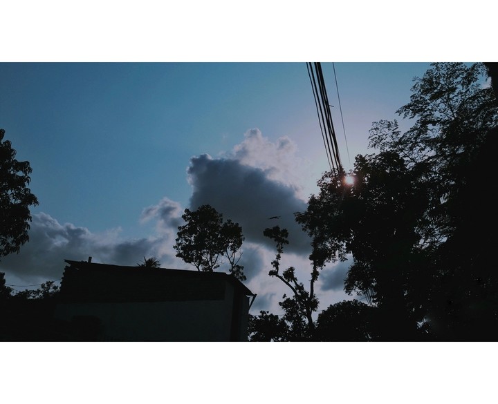 উঁকি...