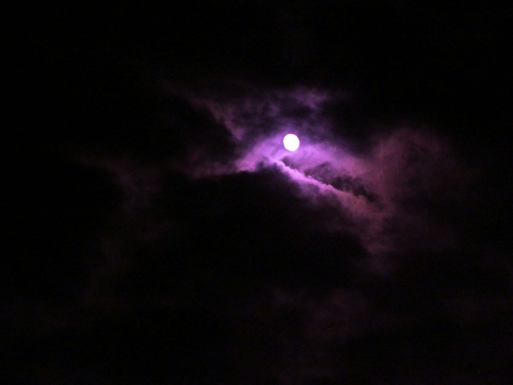 lune rose