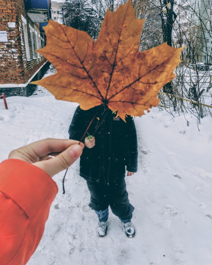 the leaf