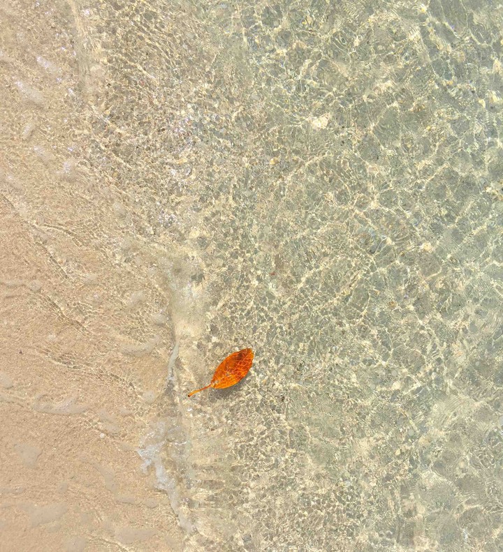 Solitude