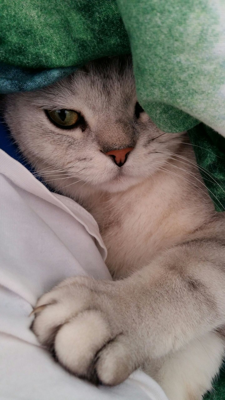 My love