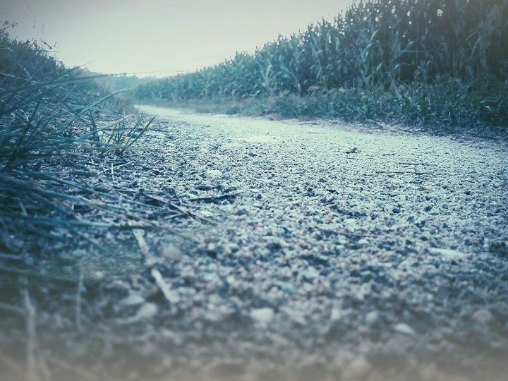 Country road