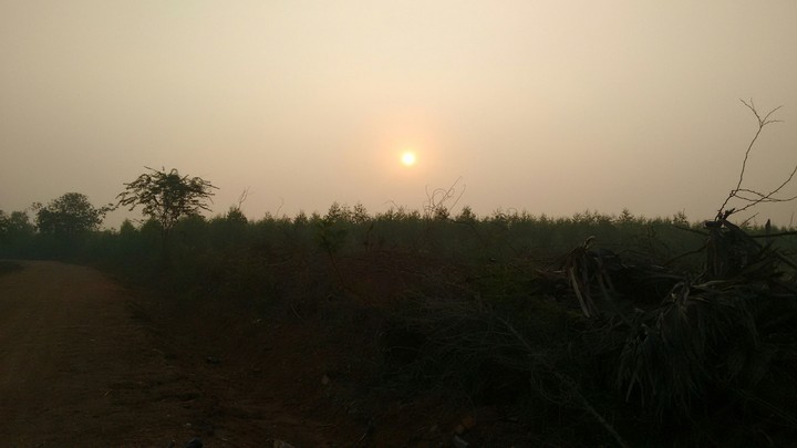 Sun Rise