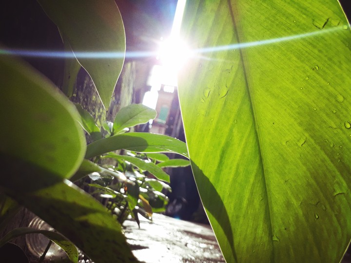 sun