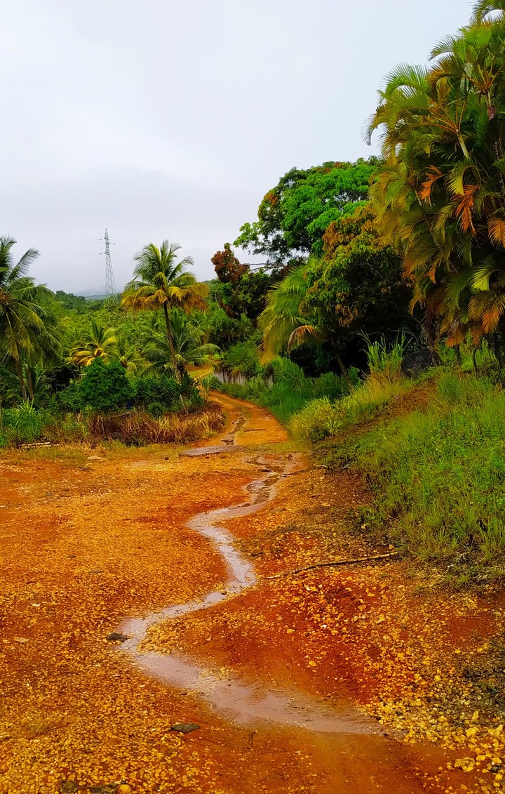 chemin de terre après la pluie