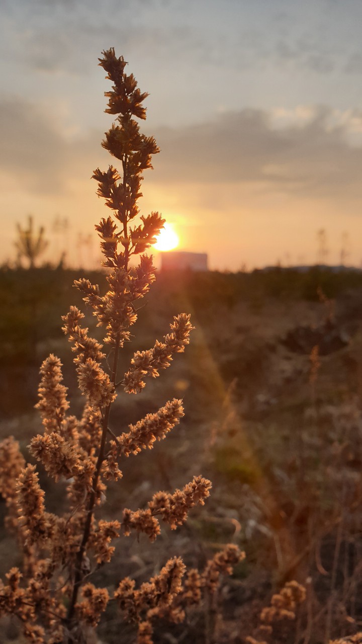 закат