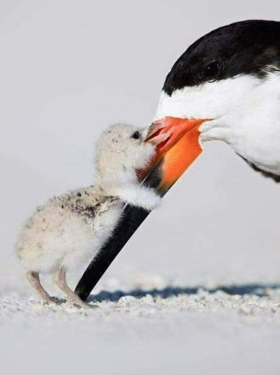 ❤